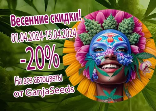 "Уникальная акция от GanjaSeeds к 1 апреля: семена конопли со скидкой 20%! Обновите свою коллекцию прямо сейчас!"