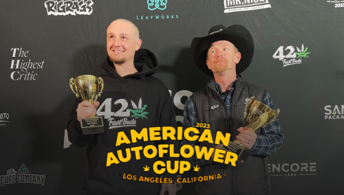 Fast Buds: банк семян, отмеченный множеством наград на American Autoflower Cup