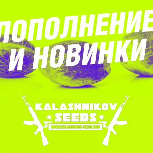 Витрина Cannado пополнилась сортами из USA линейки Kalashnikov Seeds.