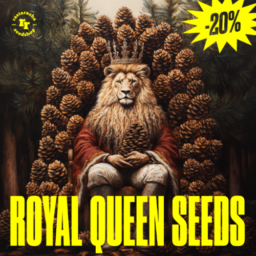 На этой неделе вы можете купить любые семена от Royal Queen Seeds Со скидкой 20%! 