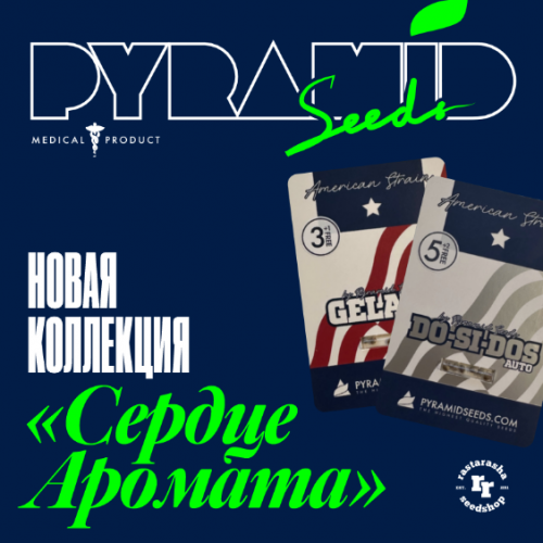 РастаРаша представляет новую коллекцию "Сердце Аромата" от Pyramid Seeds — 9 сортов с выдающимся вкусом и ароматом, основанных на американской генетике.